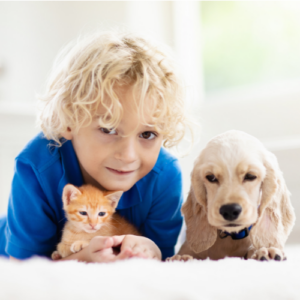 Little boy with kitten and puppy